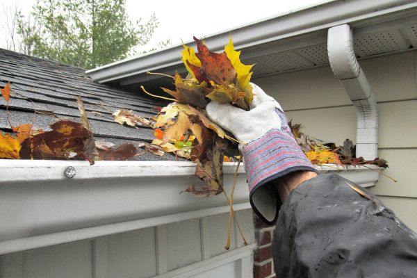 Cost of Eaves Cleaning in Park City