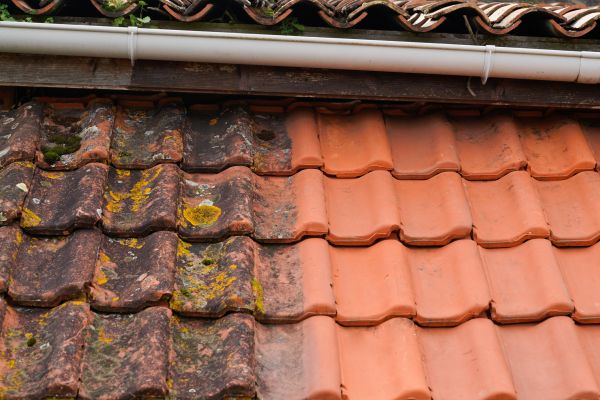 Industrial Roof Cleaning in Park City