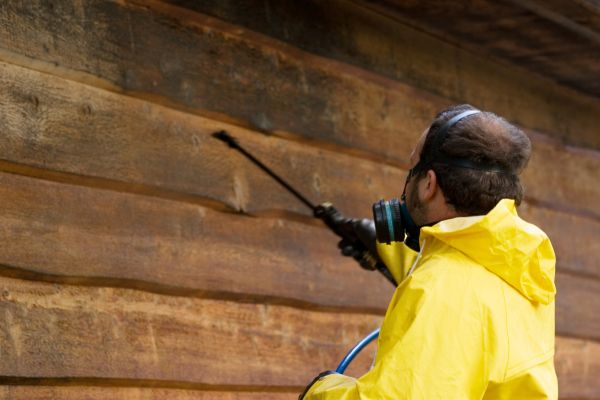 Cost of Cedar Siding Washing in Park City