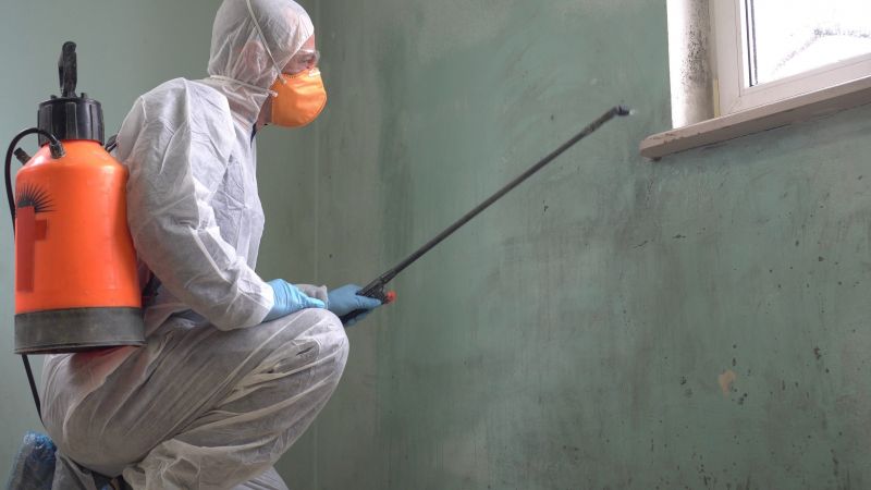 Mold and Mildew Removal